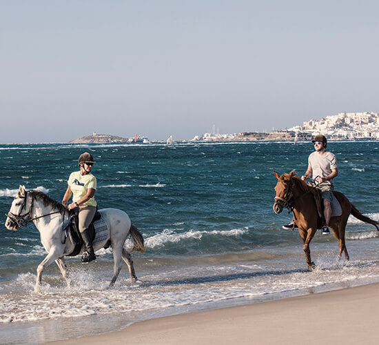 Horseriding